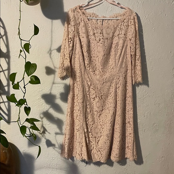 Eliza J Lace Long Sleeve Dress in Cream - Picture 2 of 8
